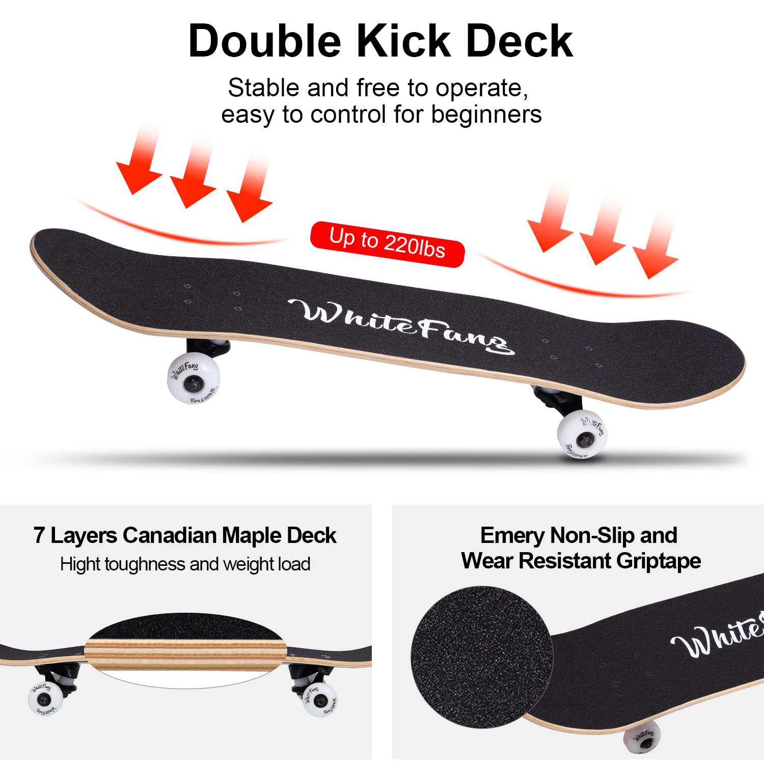 WhiteFang Skateboards for Beginners, Complete Skateboard 31 x 7.88, 7 Layer Canadian Maple Double Kick Concave Standard and Tricks Skateboards for Kids and Beginners (Check)